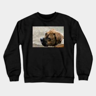 Poppy Crewneck Sweatshirt